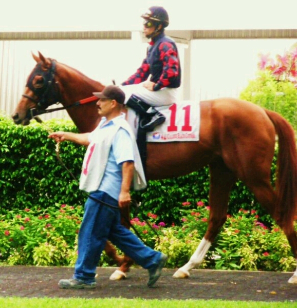 Wildy at his first Race