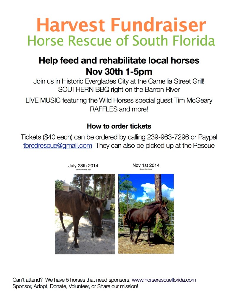 HarvestFundraiserjpg