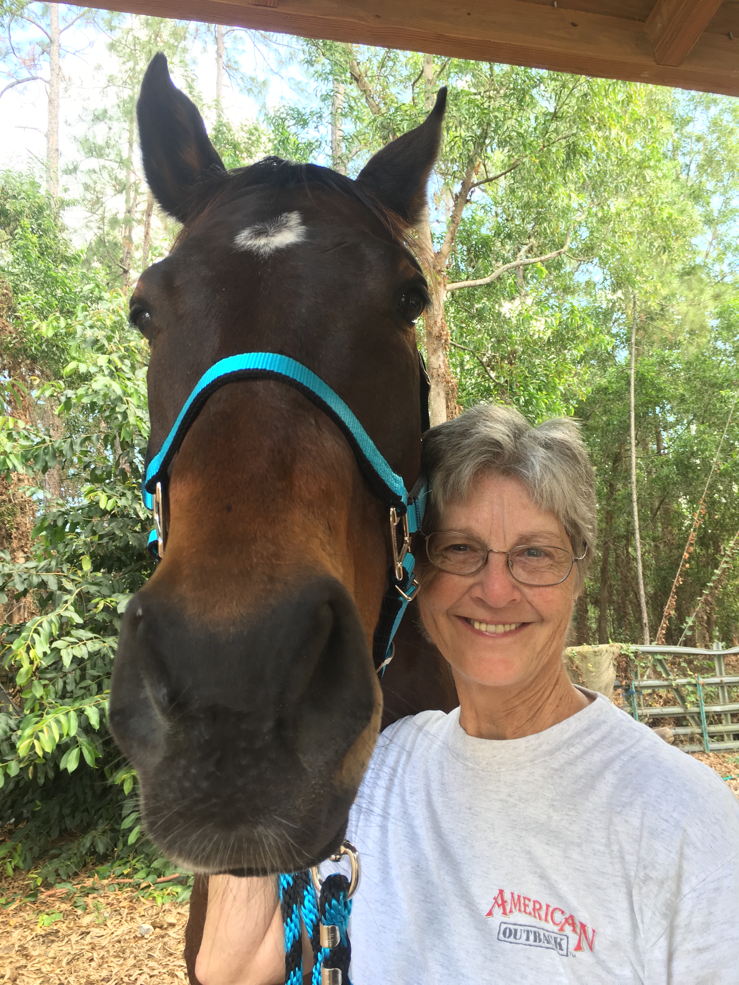 Equine/Human Wellness Classes