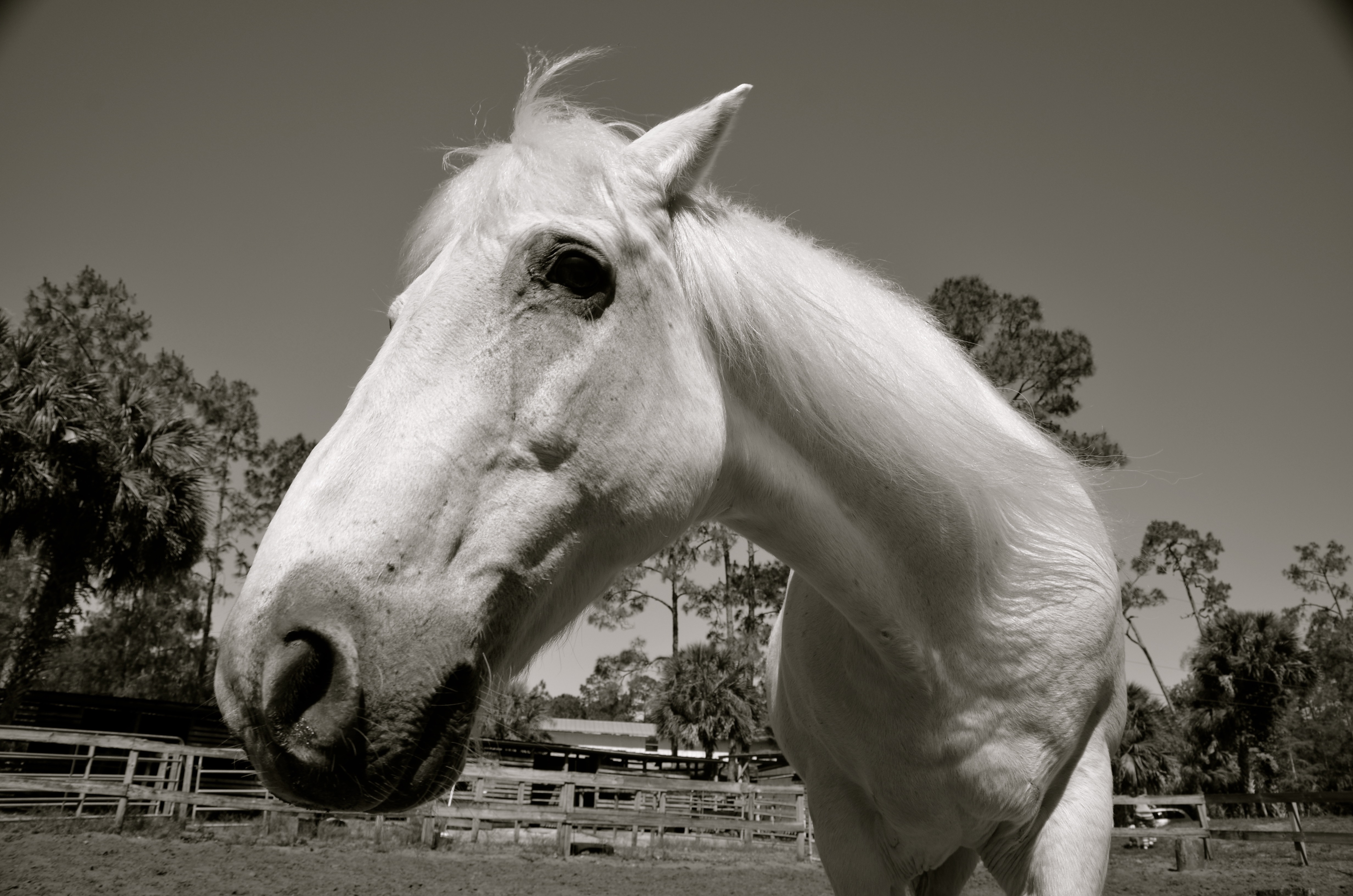 To bit or not to bit, that is the question