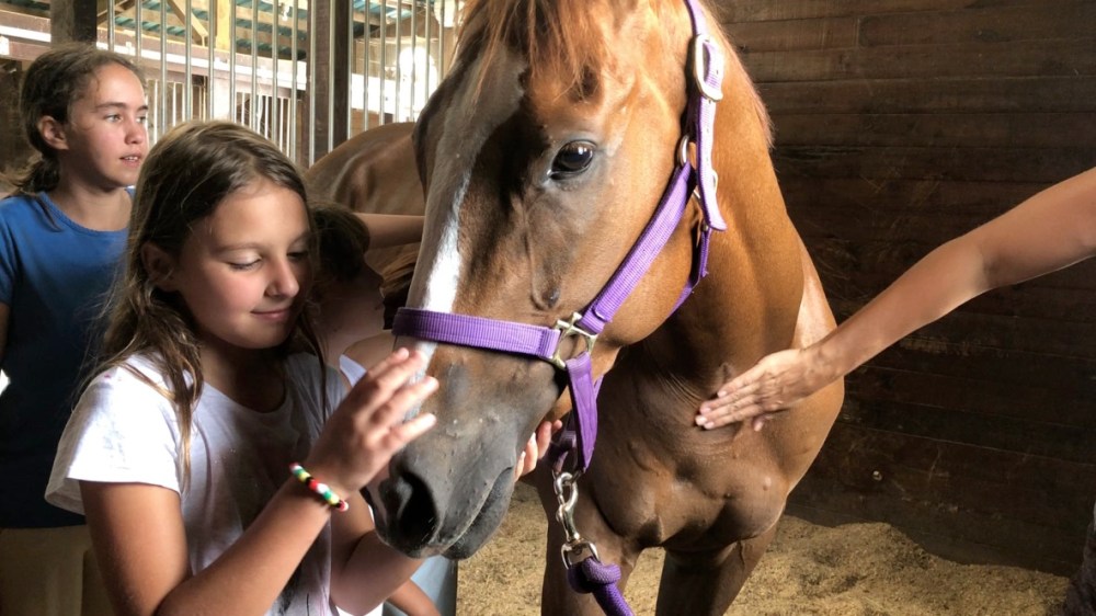 UNADJUSTEDNONRAW_thumb_8d38