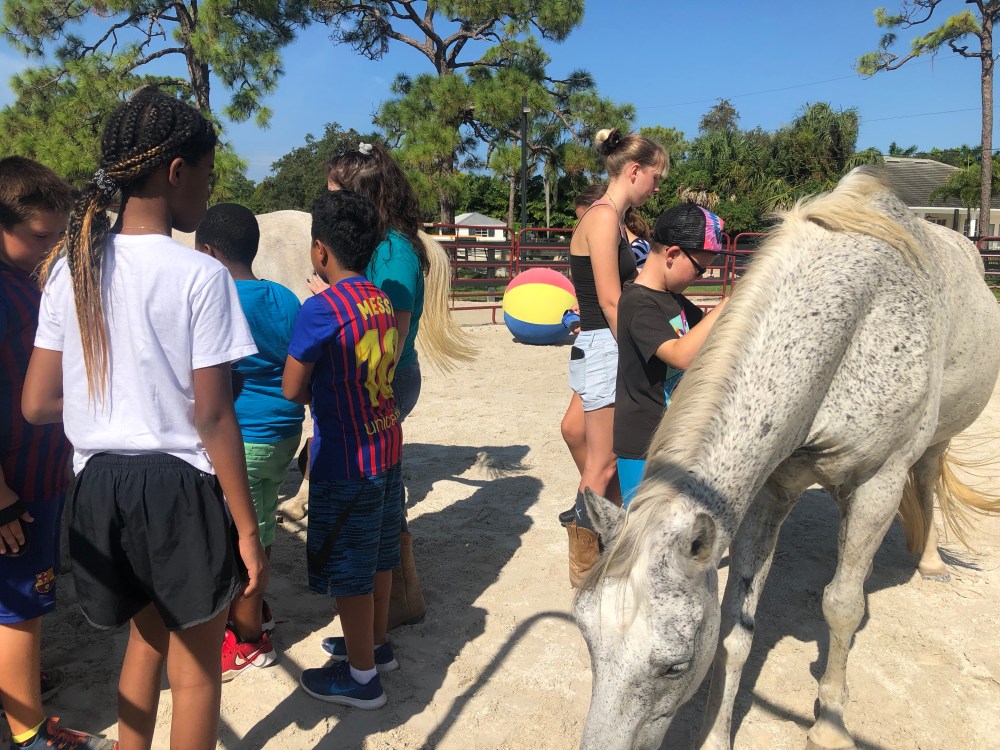 7DgZ3LulQ4aBrhRPfua1bw