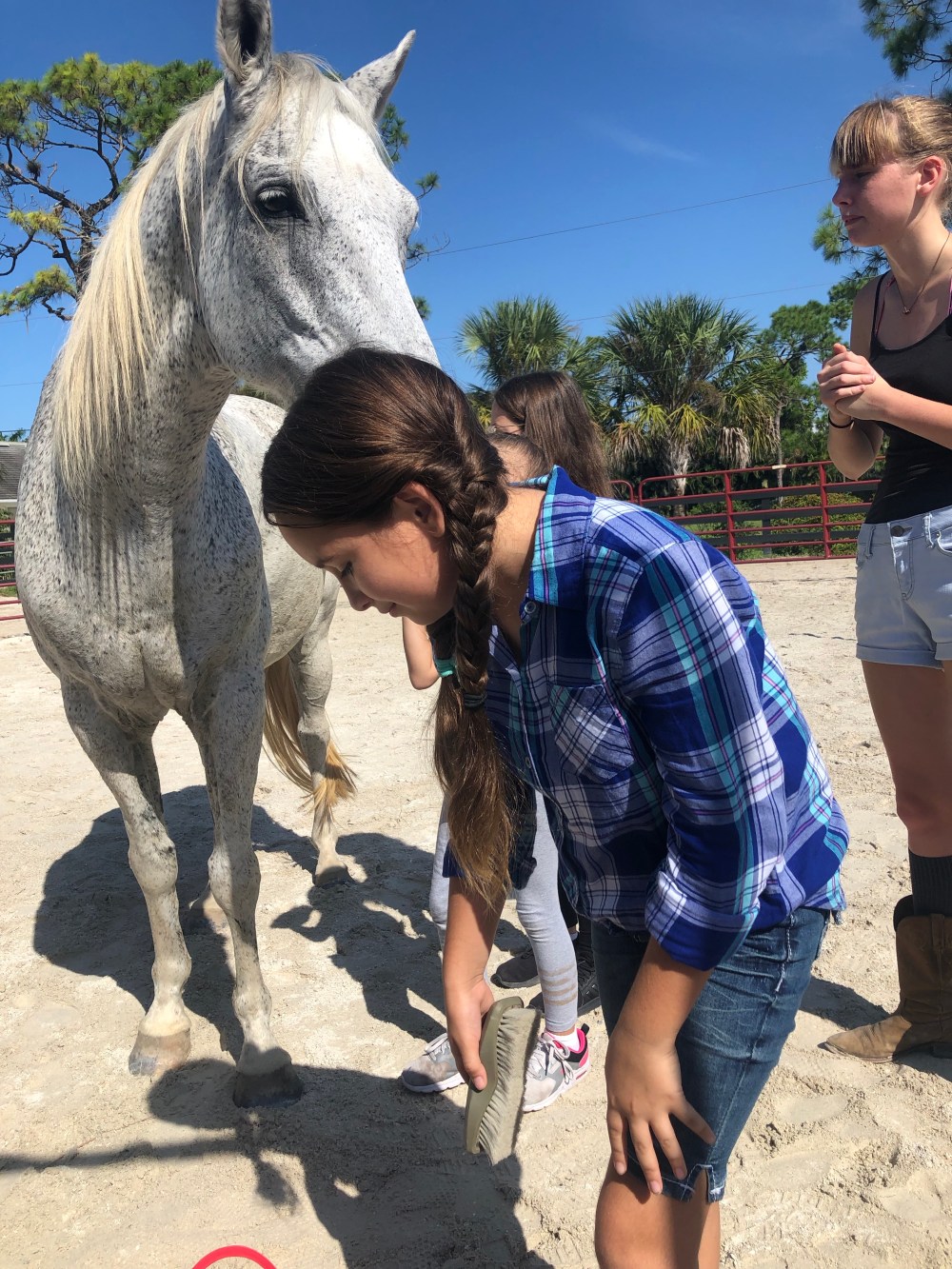 7vqIc7zwRDahTWeYFimr9A