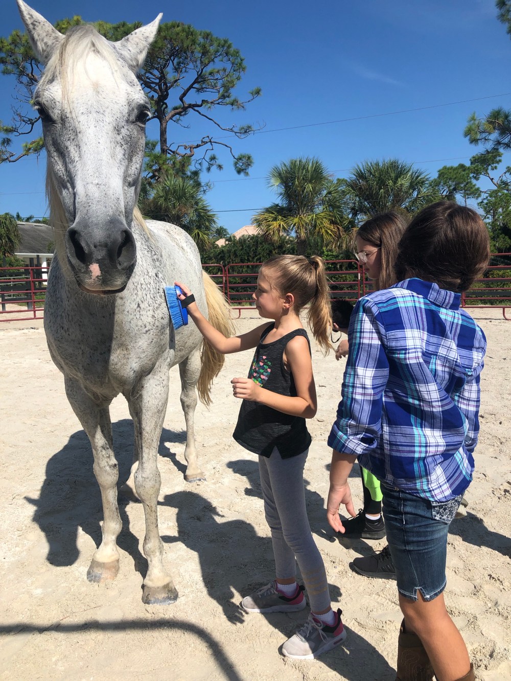 Dd9v6e13RAWPTM8jxwAFvg