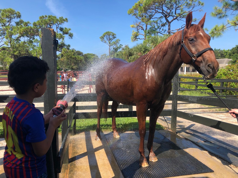 LStS31b2Si+Z%wyKv590Pg