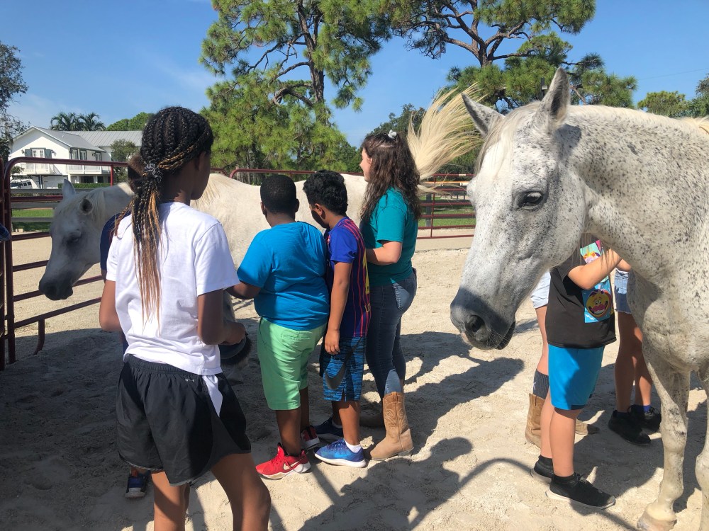 S0FLX6egQu+HR%hXXfzSoQ