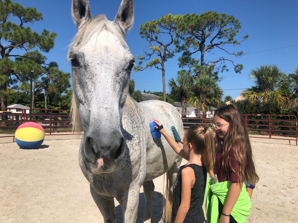 S6OWG4ucSHq5e8Sbc78OWQ