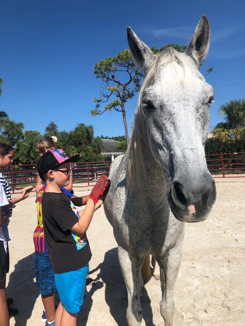 s%Aj2cE5QXSXf1hNpYYB+g