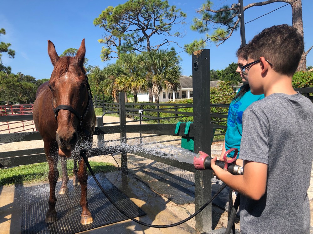 SyAyLxEDSIKLvZQ456ZmWQ