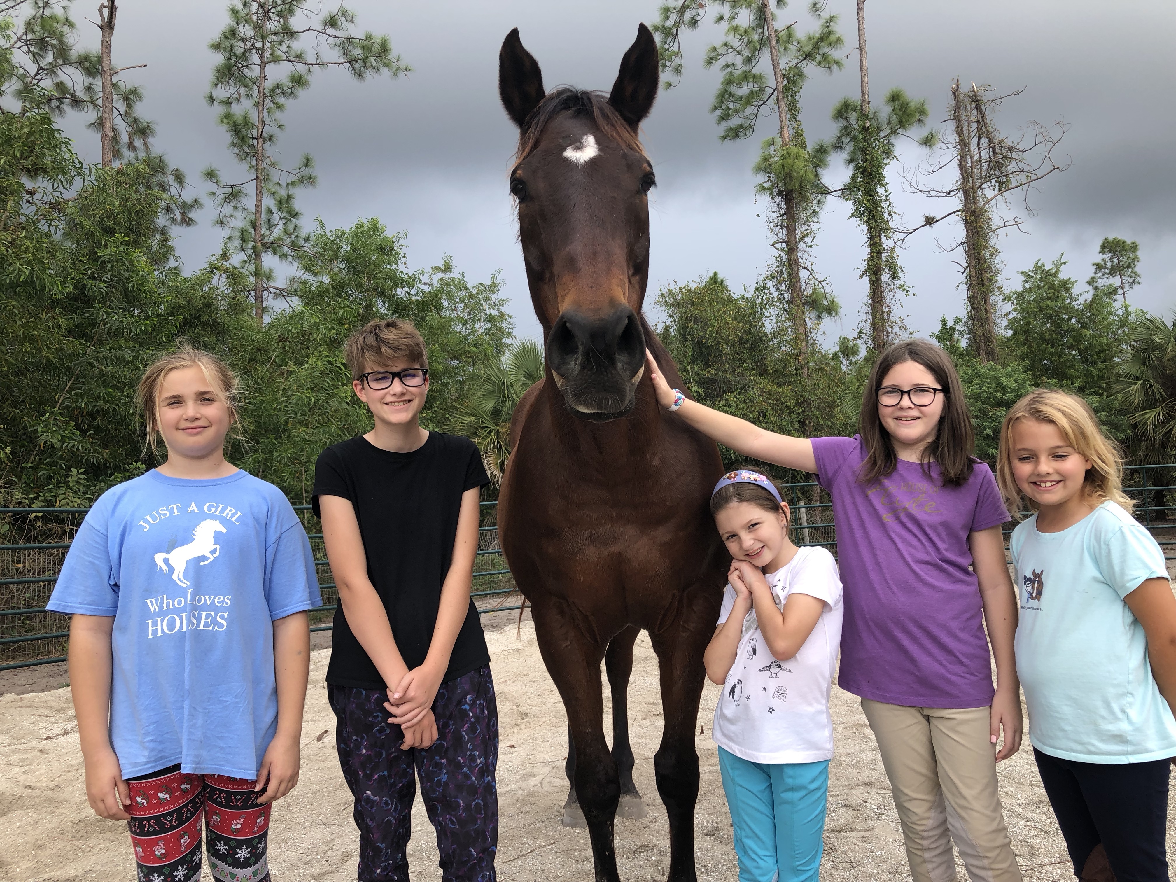 COVID-19 impacting Naples, FL  Horse Rescue