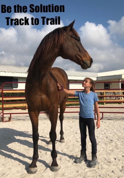 5 Ways To Help Exracehorses