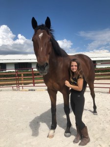 8330D05E-E6E0-4C8A-9D03-45987F791BEB