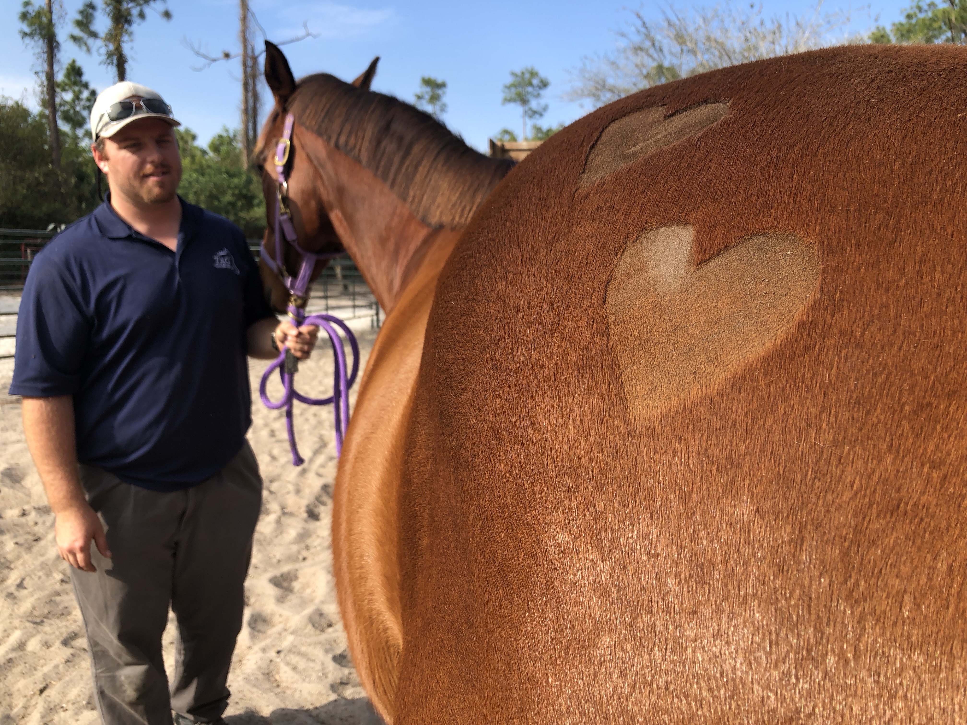 Featured Friend TAG Equine