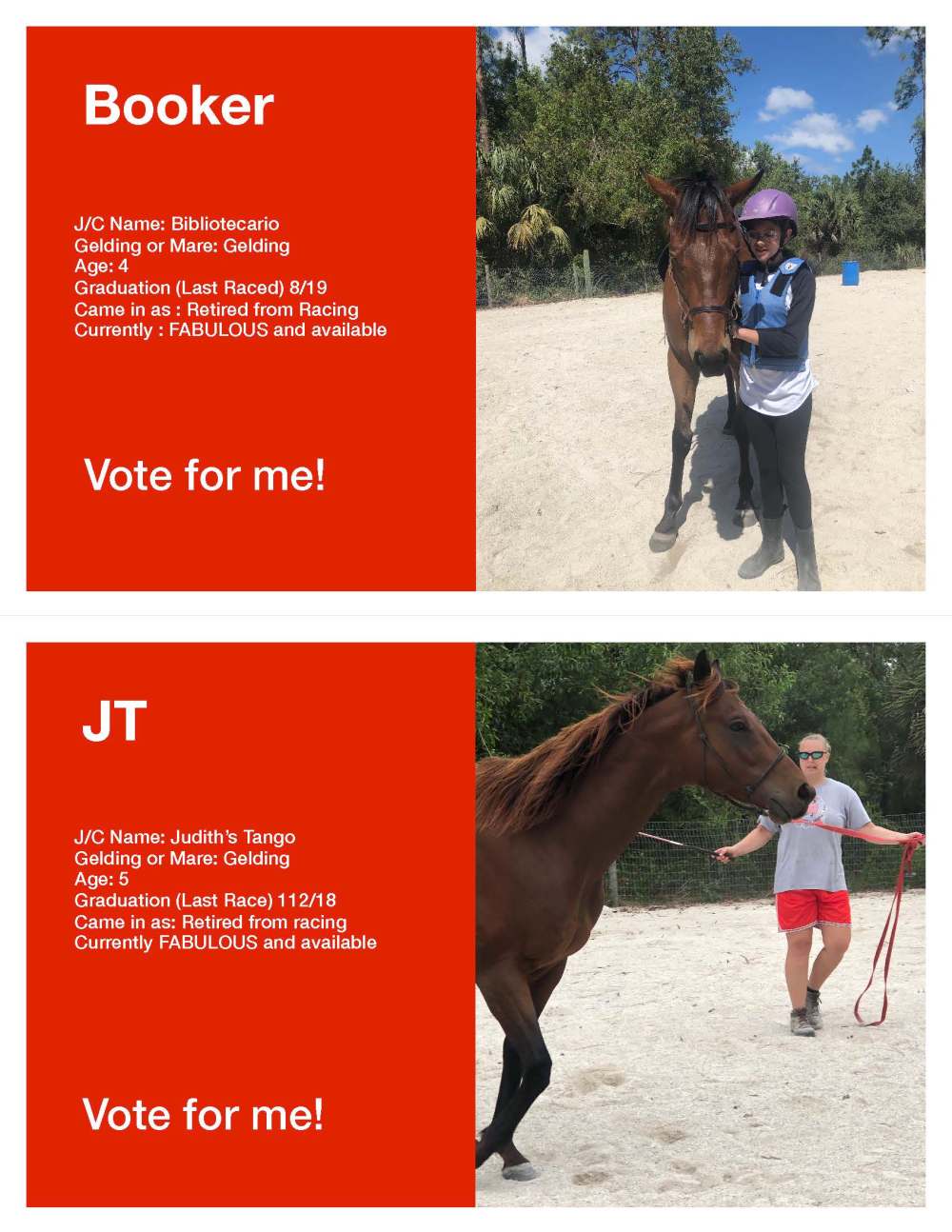 Horse Voting Sheets Template Boooker JT jpg