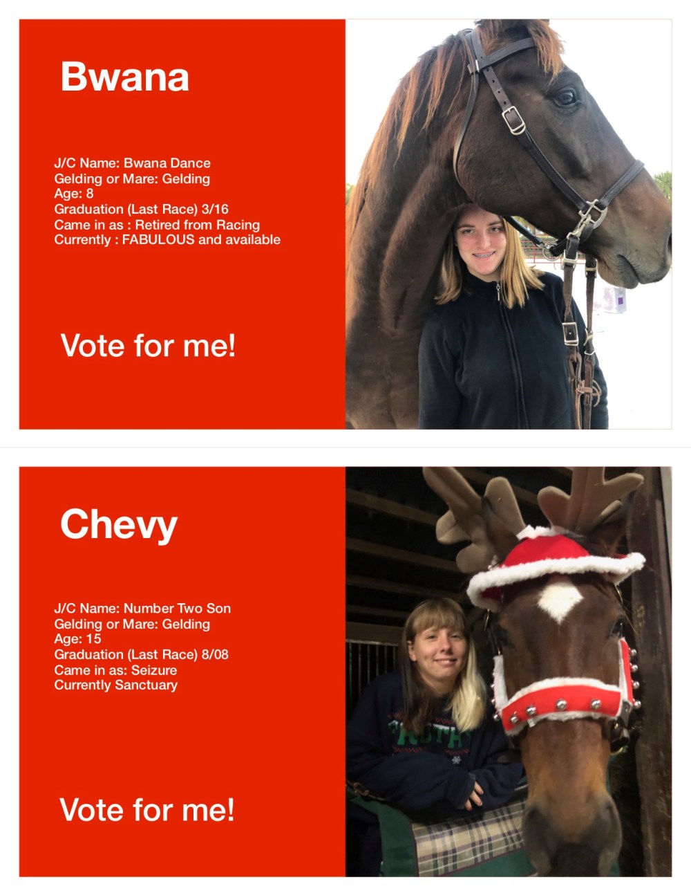 Horse Voting Sheets Template Bwana Chevy jpg