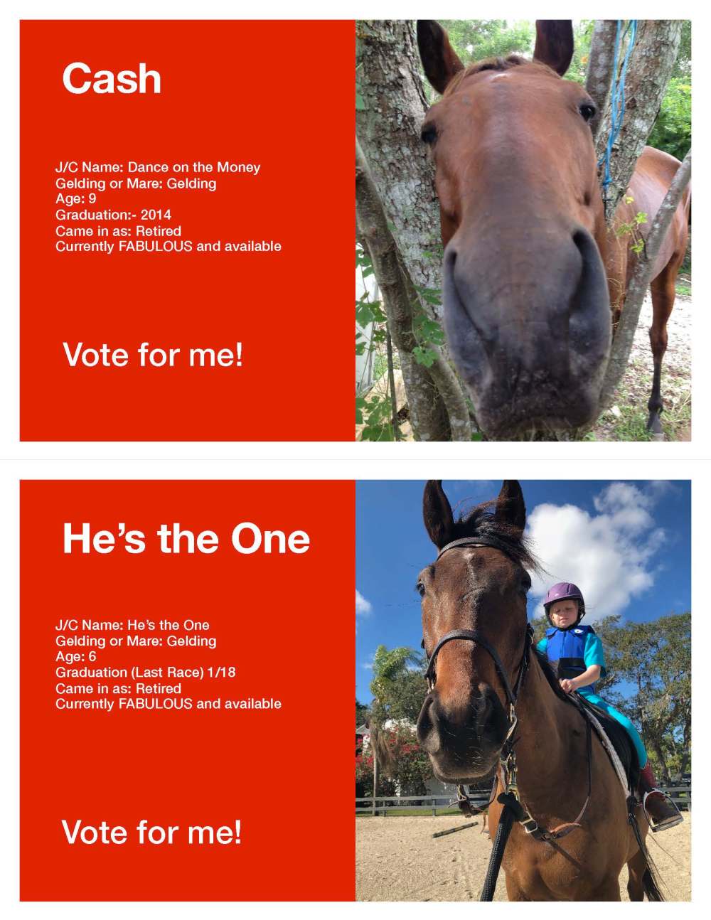 Horse Voting Sheets Template Cash He's the One JPG