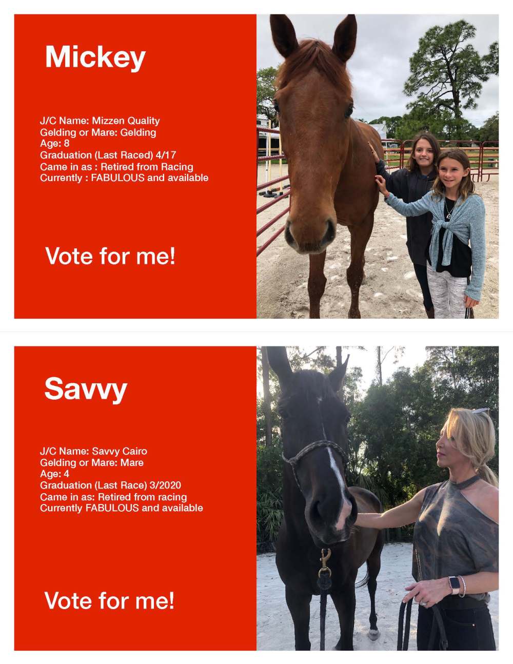 Horse Voting Sheets Template Mickey Savvy jpg