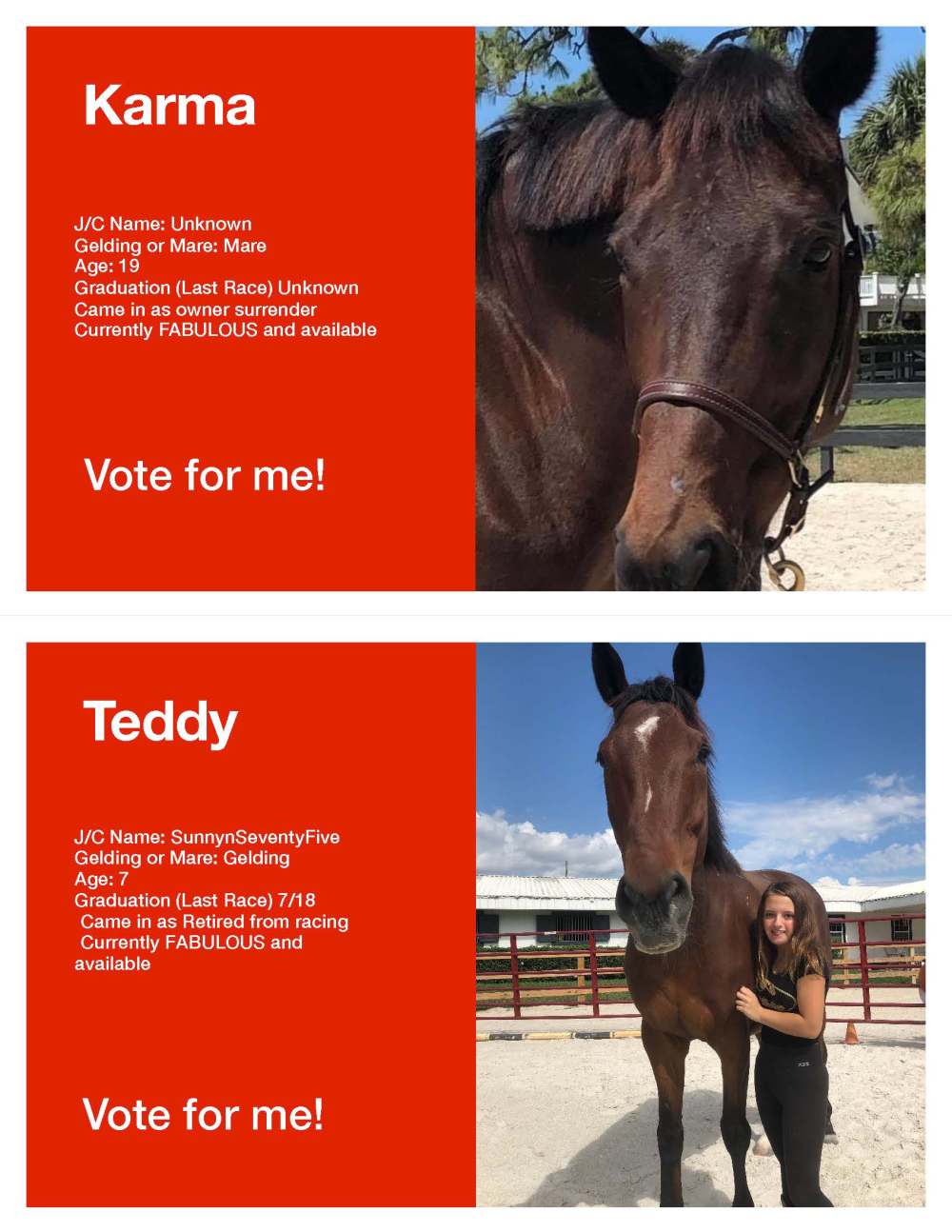 Horse Voting Sheets Template Teddy karma jpg