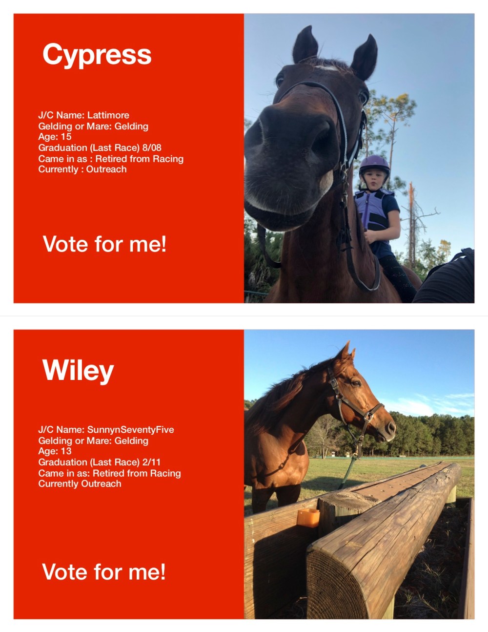 Horse Voting Sheets Template Wiley Cypress jpg