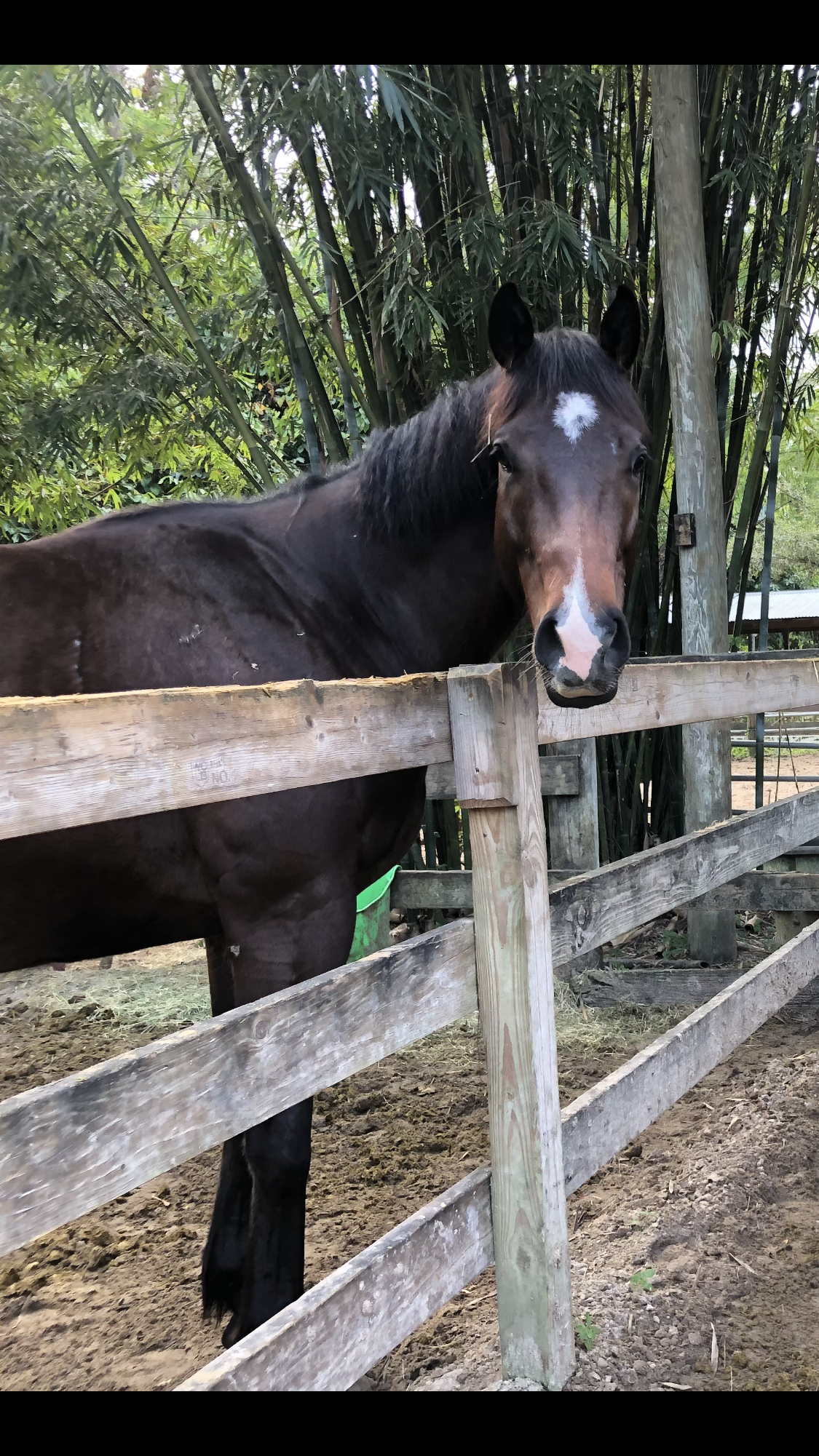 Medical Help Needed – J/C Pawan