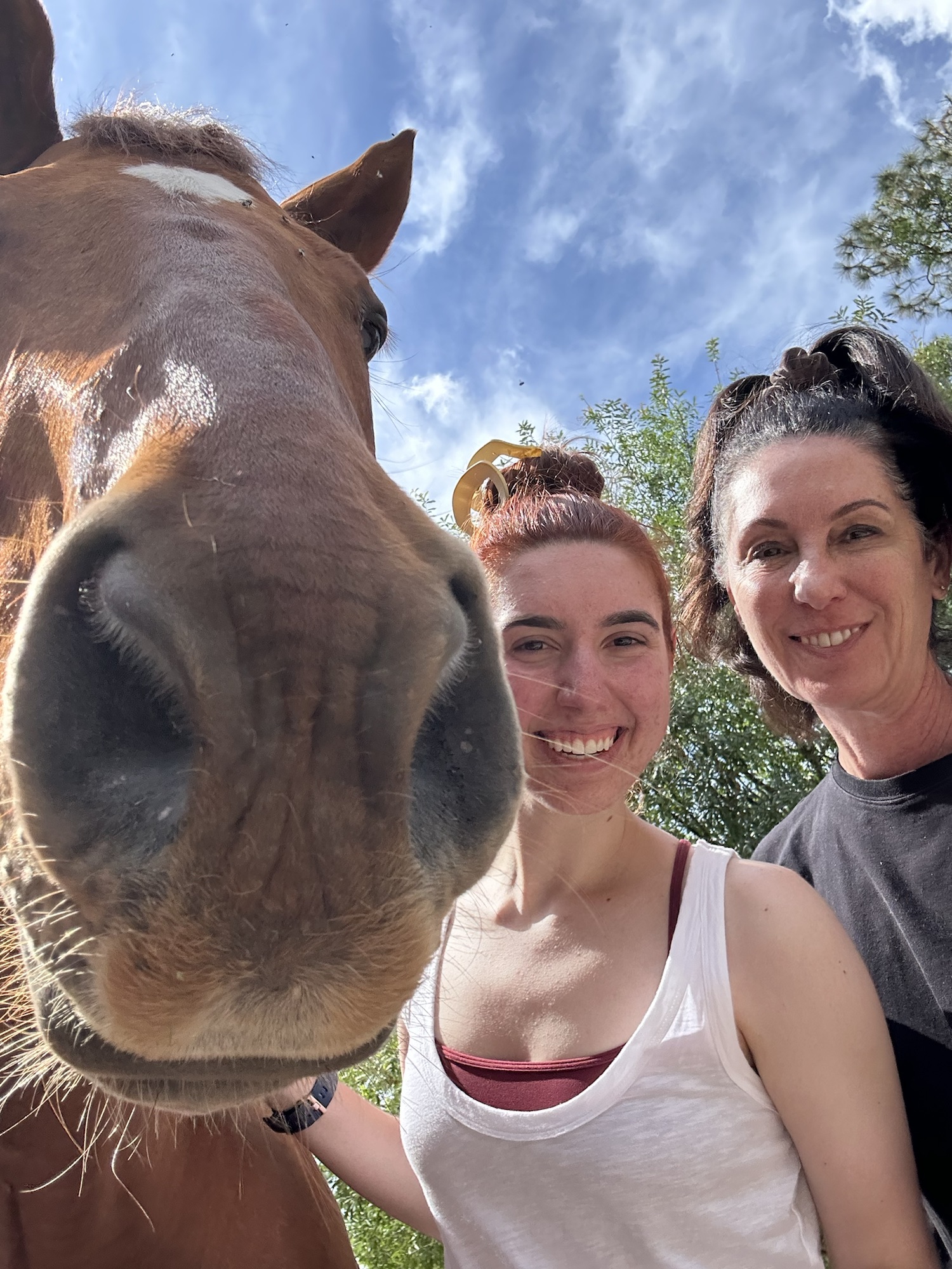 Summation teaching adult classes